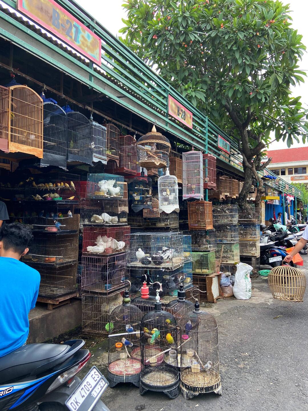 "Das Vogelfachgeschäft" welches auch Hunde, Katzen und Reptilien verkauft