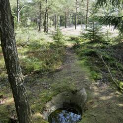 irgendein besonderes Wasserloch