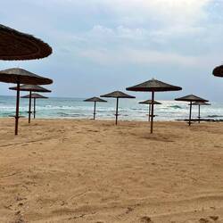 ..und Sonnenschirme aus dem Boden.