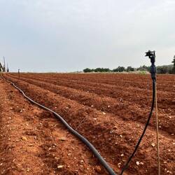 Ich mache mich aber ohnehin auf nach Xylofagou, wo..