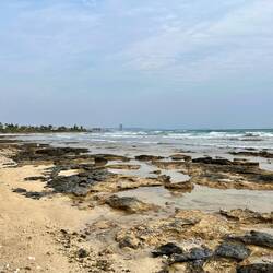 Zurück am Meer sieht es zwar stellenweise auch ähnlich aus, aber immerhin ein Stück besser.