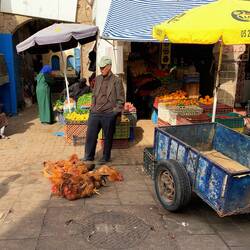 Da kann man sich von der Frische der Hühner überzeugen