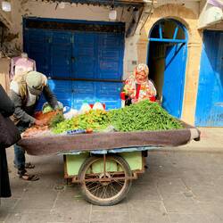 Gemüsekarren