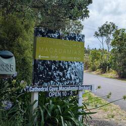 The owner gave us an overview of The orchard and how they process and what they make with macadamias