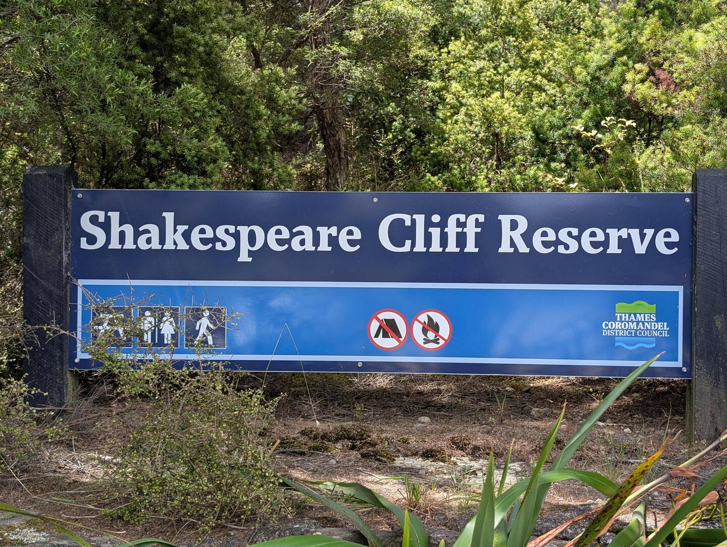 Wonderful views from the top of Shakespeare Cliff reserve
