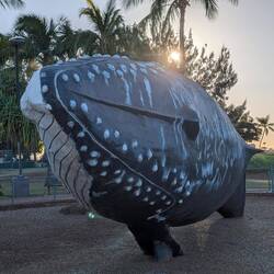 A whale in a nearby park