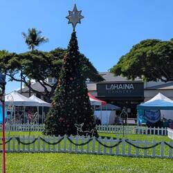 Hard to imagine Christmas with blue skies