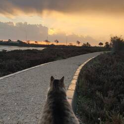 Die Mieze ist wieder frei und ziemlich gechillt.