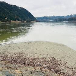 Hier treffen Donau (links) und Inn (rechts) zusammen