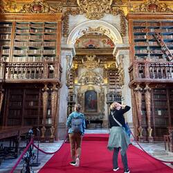 Stunning medieval library