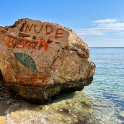 Schildkröten sehe ich zu dieser Jahreszeit zwar nicht, aber..