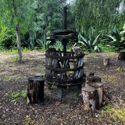 Olive or grape press ?