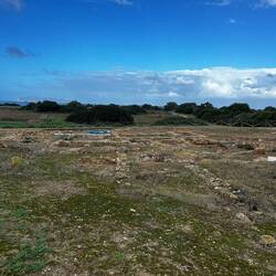 Tarped areas for future exploration