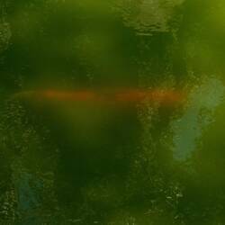 japanese garden (koi fish under water)