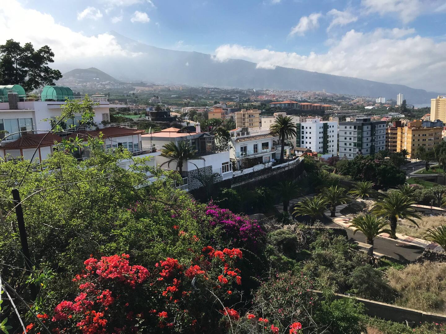 Blick vom Taoro Park, im Hintergrund der Teide.