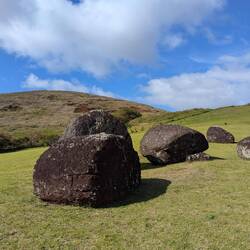The top knot factory