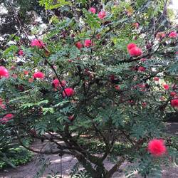 Jardin Botanica