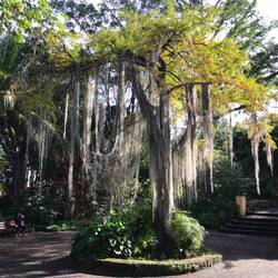 Jardin Botanica