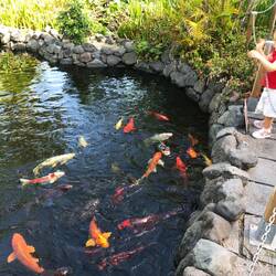 Im Sitio Litre Garden.