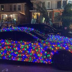 Selbst einige Autos, die hier rumfahren, machen mit.