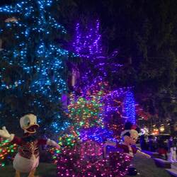 Crazytown, besser bekannt als Dyker Heights.