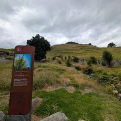 Mount Maunganui