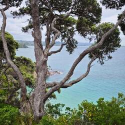 Matapouri Bay