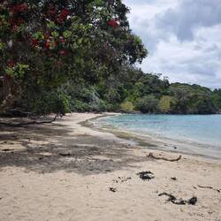 Whale Bay