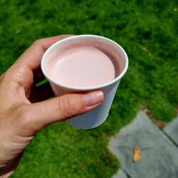 Einen Pink Chai Tee habe ich mir gegönnt