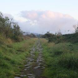 Via Francigena - die letzten Kilometer nach Rom. Sieht auch noch wie früher aus.