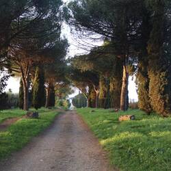 Via Francigena - die letzten Kilometer nach Rom