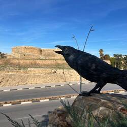 ..mit ins Zentrum der Stadt genommen hat,..