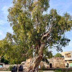 Da ich mich im Vorhinein gar nicht informiert habe, bin ich überrascht über die gewaltige..