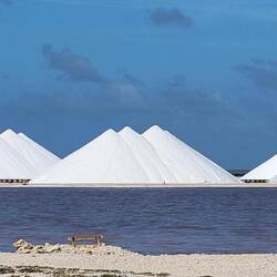 The salt mine