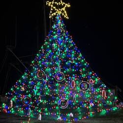 Last pup walk. Tree all lit up