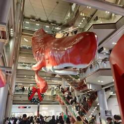 Hall du mall