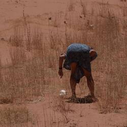 ja was sucht sie den?