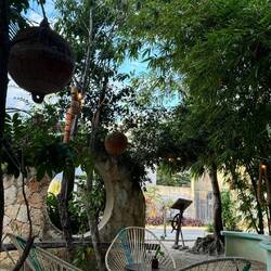 Chencho's Restaurant