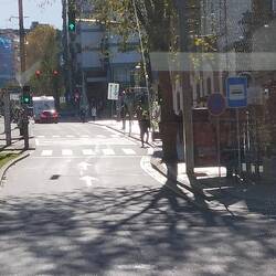 Trains running dow the middle of the road