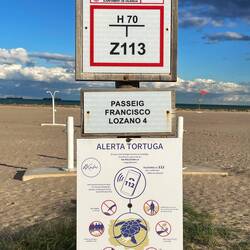 Turtle-Strand - jetzt wohl eher nicht