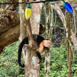 Besuch beim Mittagessen 😍