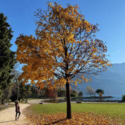 Nice walking path along the lake