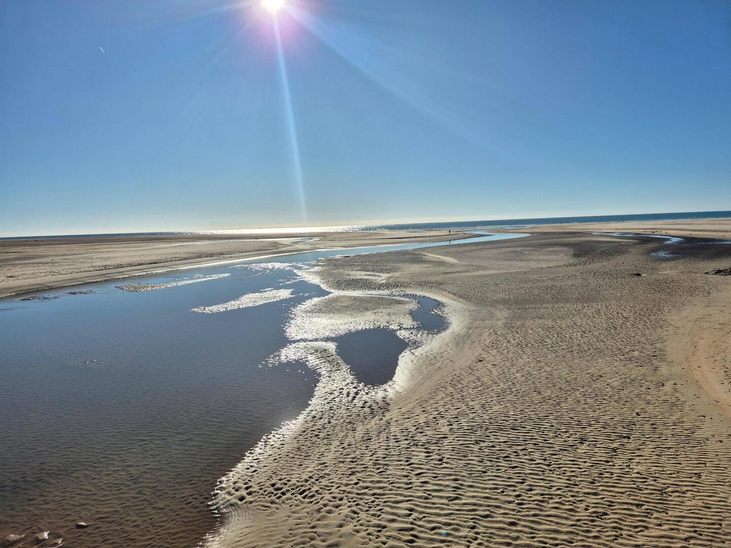 Strand bei Ebbe