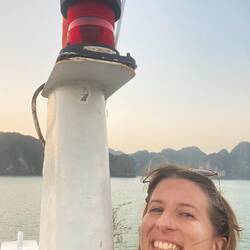 Ändivögeli 💛🪶