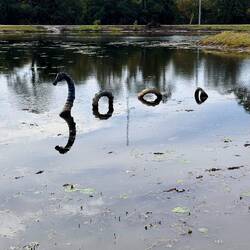 Looks like Nellie's moved from Scotland