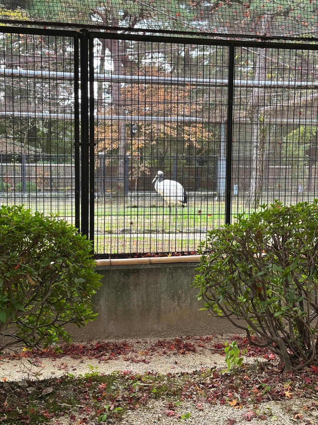 Kōraku- en Garten Okayama