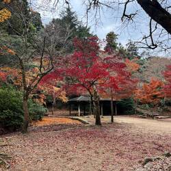 Wanderung auf den Mt. Mesen