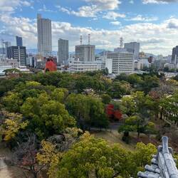 Ausblick von der Burg