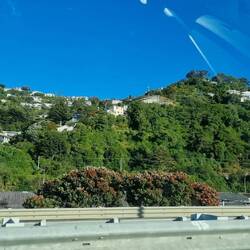 Outer Wellington