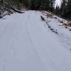 Eigentlich einfach zu fahrende Waldwege doch mit Schnee und unseren Reifen eine Herausvorderung.